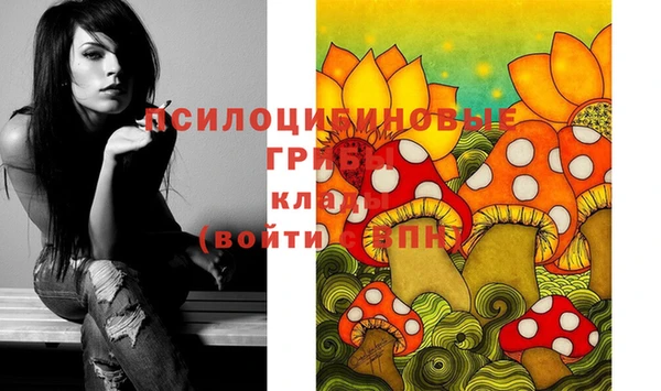 гашик Абинск