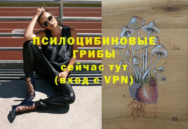 дмт Алзамай