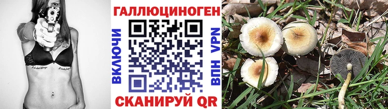 как найти закладки  Енисейск  Галлюциногенные грибы GOLDEN TEACHER 
